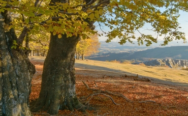 ВЫХОДНЫЕ В ЧАХЛЭУ